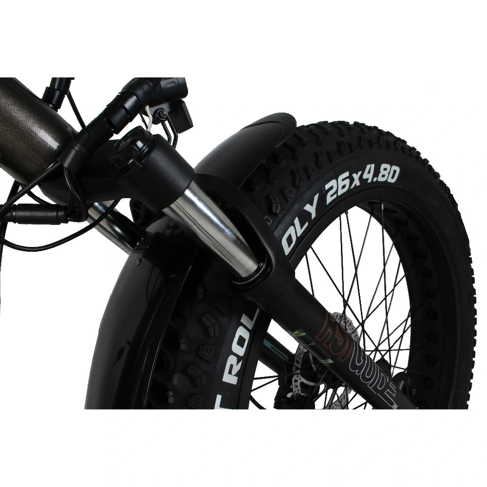 Ebike Fat Tire Shock Absober 1500W BMX MTB Mountain Bike