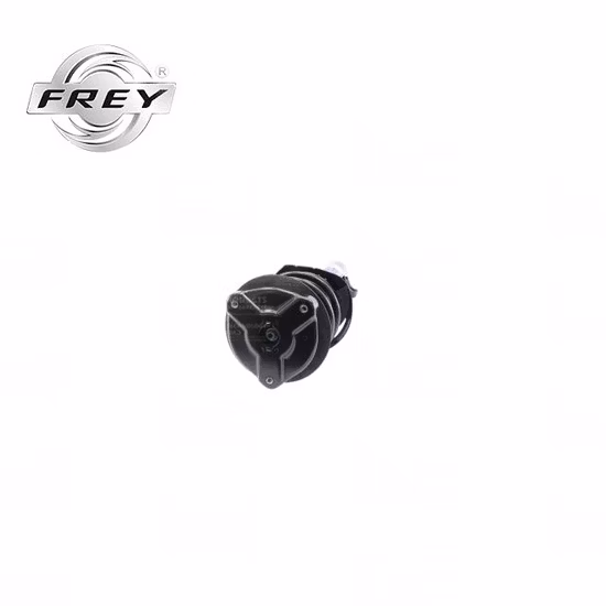 Ammortizzatore del sistema di sospensione Frey Auto Parts di alta qualità completo per Mercedes Benz W204 OE 2043232600