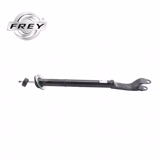 SENP ricambi auto ammortizzatori ricambi auto all'ingrosso sospensioni pneumatiche ammortizzatori ricambi auto Audi VW BMW Mercedes Porsche