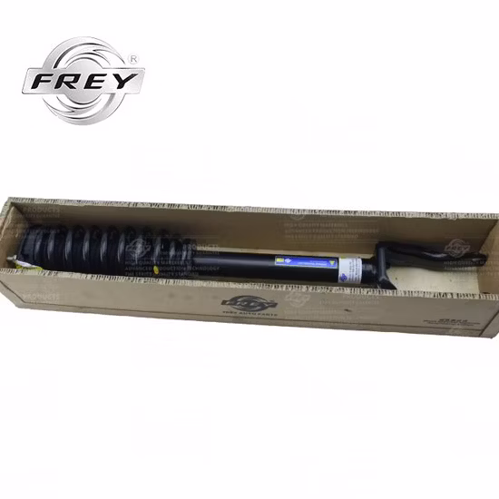Gruppo ammortizzatore anteriore destro Frey Auto Parts di alta qualità completo per Mercedes Benz W166 OEM 1663230200