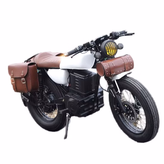 Forcella anteriore moto/Ammortizzatore/Telescopico/Sospensione/Barras/Amortiguadore Completa AG100, Italika, Akt, Um, Genesis, Euromot